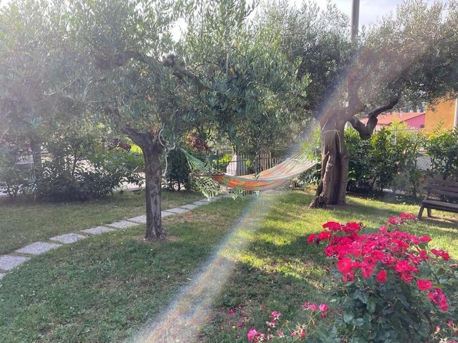 La Dimora Delle Rose Apartment Пасиняно сул Тразимено Екстериор снимка