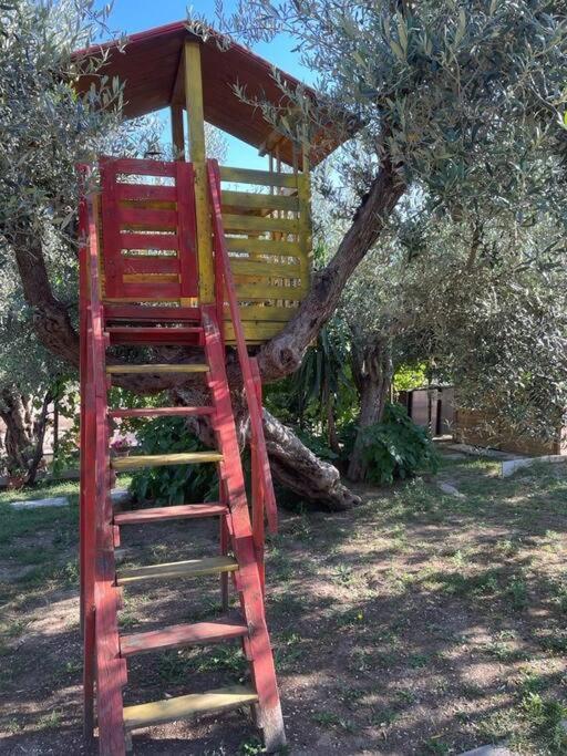 La Dimora Delle Rose Apartment Пасиняно сул Тразимено Екстериор снимка
